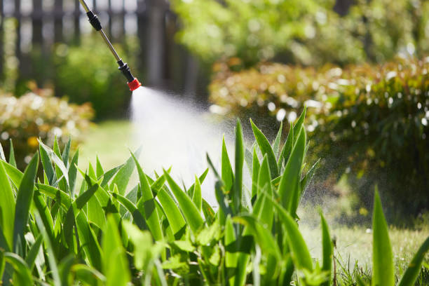 24/7 Emergency Wasp Removal experts in Chenoa, IL