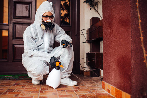 Reliable Wasp Removal contractor in Chenoa, IL by Show Me Pest Control