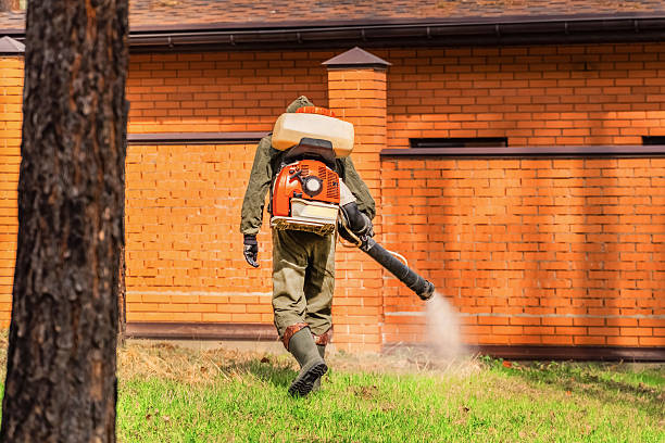 Top rated local Wasp Removal specialists in Chenoa, IL